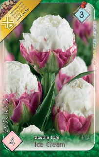 Tulipán Ice Cream 4ks