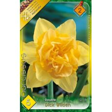 Narcis Double Dick Wilden 5ks
