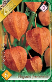 Physalis 5ks