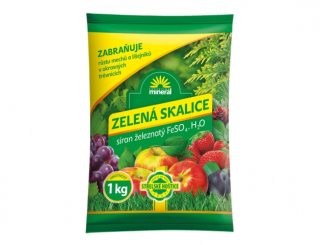 Skalica zelená 1kg      FO