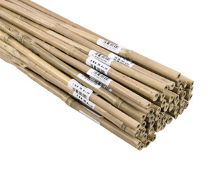 BAMBUS opera 150cm 12-14mm