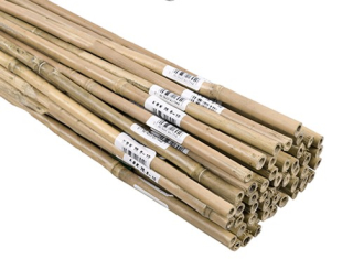BAMBUS opera 180cm 14-16mm