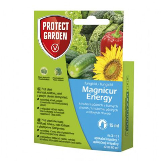 ENERGY MAGNICUR 15ml