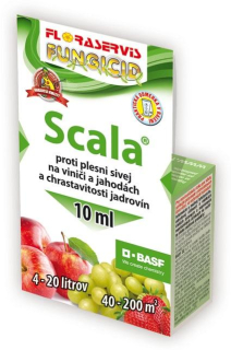 Scala 10ml