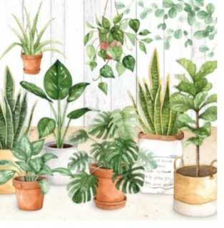 Servítky Urban Jungle, Ambiente