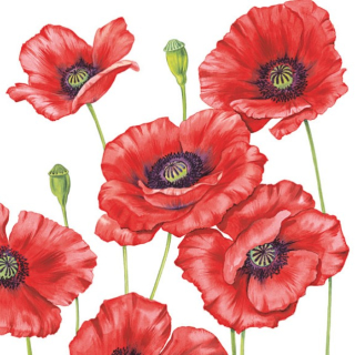 Servítky Romantic Poppy 33x33cm, Ambiente