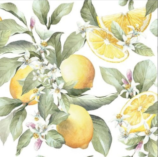 Servítky LIMONI, Ambiente