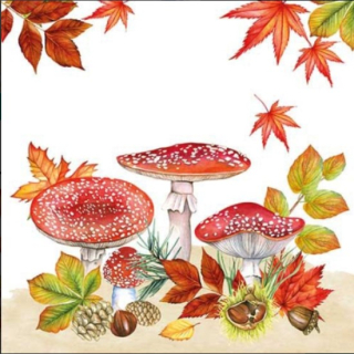 Servítky Agaric Group, 33x33cm,20ks, Ambiente