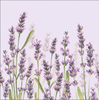 Servítky Lavender Shades, 33x33cm, Ambiente